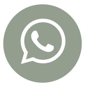 icono whatsapp